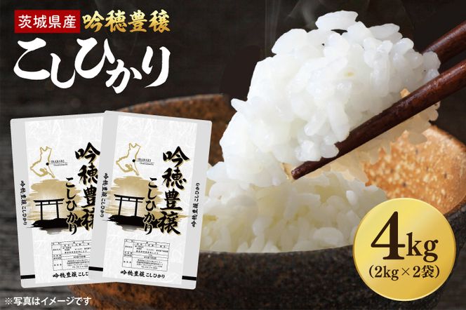 ＜令和7年産＞ 吟穂豊穣こしひかり 4kg (2kg×2袋) 精米 コシヒカリ こしひかり 米 ごはん コメ お米 白米 国産 茨城県産