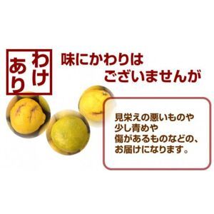 【先行予約】 訳あり はるか 2kg なくなり次第終了 フルーツ 果物 みかん 柑橘 かんきつ 期間限定 みかん 蜜柑 冬 糖度 みかん職人武田屋