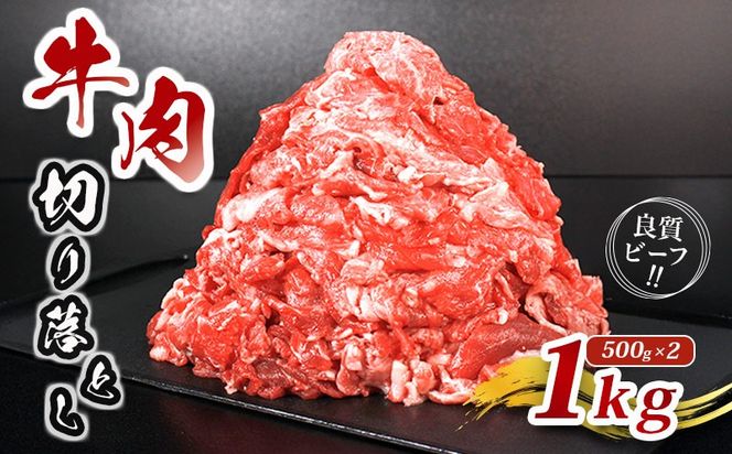 y쌧ۋTsz   ؂藎Ƃ א؂  1kg Y o o   Ԑg Ⓚ  Iׂ e Ă Ԃ   SĂ 炩   쌧  ۋT ۋTs