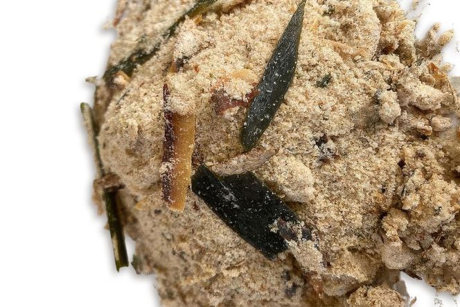 エイケン かつおだしゴールド 1kg｜鰹節 かつおぶし 万能だし 万能和風だし 味噌汁 煮物 [2453]