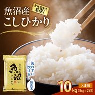 【令和8年産 先行予約】無洗米「3カ月定期便」食味鑑定士厳選！魚沼産こしひかり １０ｋｇ(５ｋｇ×２)×3回 白米 安心 安全 こだわり 米 コシヒカリ 定期 新潟県 十日町市