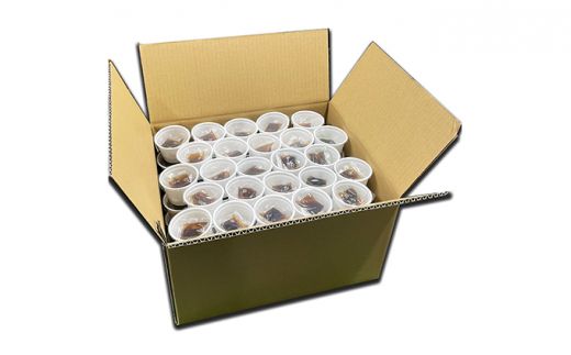 業務用 納豆 カップ 道南平塚食品 ミニカップ 40g×100個  | 納豆 大容量 小分け 産地直送 国産 小粒 なっとう ナットウ 高級 大豆 厳選 老舗 栄養 発酵 ふるさと納税 人気 おすすめ ランキング 北海道 登別市