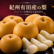 ジューシー果汁の紀州有田産の梨約４kg 　化粧箱入【先行予約】【2026年8月中旬以降発送予定】AN028