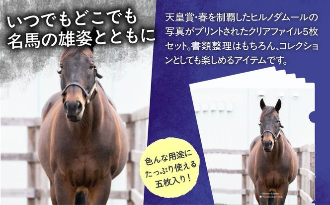 【ヒルノダムール】クリアファイル 写真5枚入り BRTV303