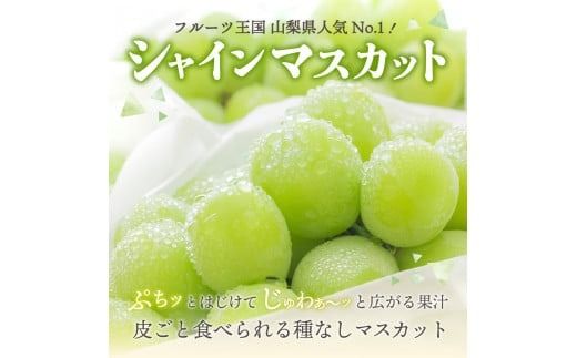 【2025年先行予約】【2回定期便】ジューシーで甘さ抜群 厳選 シャインマスカット 1kg×2回配送 山梨県産 ぶどう 果物 フルーツ 旬 山梨県 高級 2025年 先行予約 山梨 富士吉田