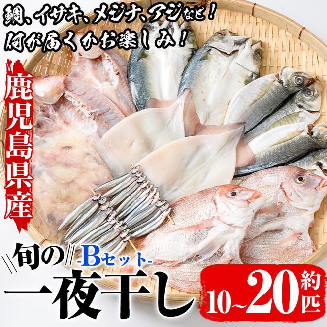 数量限定！阿久根市産の旬の一夜干しグルメ＜B＞セット(鯛・アジ・イカ・サバなど)国産 鮮魚 詰め合わせ お楽しみ 海の幸 魚介類 干物 海鮮【さるがく水産】akn028-18