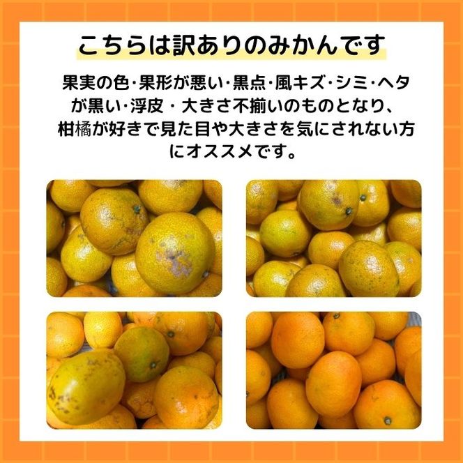 【先行予約】訳あり 愛媛みかん 小玉 3kg 傷み補償 250g 増量 発送期間 2026年11月上旬以降 みかん 愛媛みかん 温州みかん 南柑20号 柑橘 蜜柑 かんきつ 冬 秋 旬 正月 愛媛 愛媛県 愛南町 お歳暮 プレゼント くだもの 果物 フルーツ スイーツ おやつ お菓子 和菓子 甘い 糖度 オレンジ 冷凍 みかん ジュース 清家ばんかんビレッジ