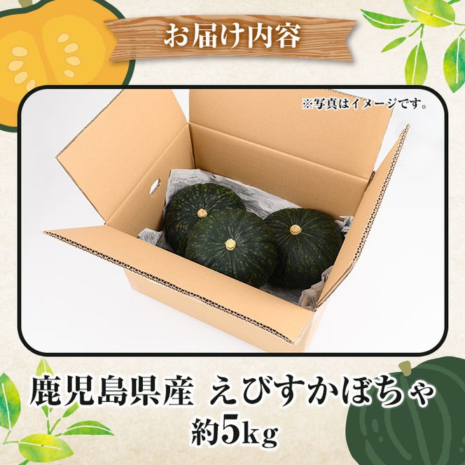 ＜先行予約受付中！2026年5月上旬以降順次発送予定＞鹿児島県産 えびすかぼちゃ(約5kg) 国産 野菜 かぼちゃ カボチャ 南瓜 煮物 天ぷら バーベキュー BBQ スイーツ お菓子 期間限定【松永青果】akn053-04