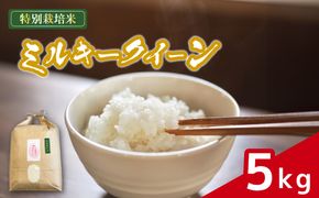 米 ミルキークイーン 5kg 農家直送 特別栽培米 精米 令和7年度産 お米 贈り物 新生活 人気米 ご飯 白米 コメ 贈答 静岡県 藤枝市 