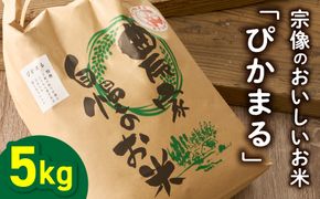 むなかた産 米 ぴかまる 5kg【みきふぁーむ】_HA1543