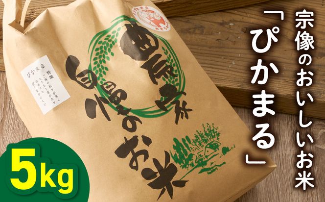 むなかた産 米 ぴかまる 5kg【みきふぁーむ】_HA1543