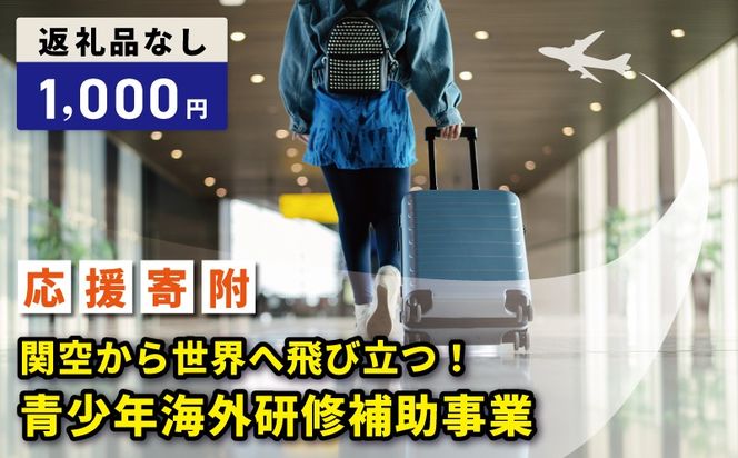 ON0031 【返礼品なし】関空から世界へ飛び立つ！青少年海外研修補助応援寄附（大阪府泉佐野市）