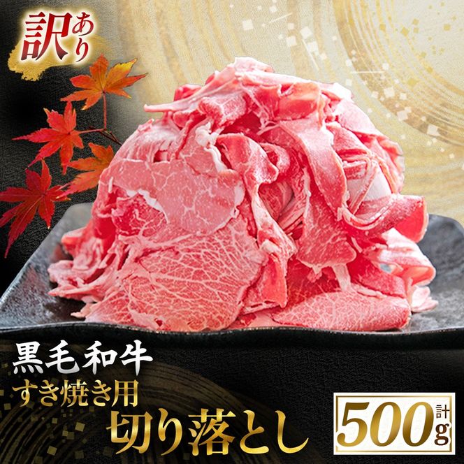 【訳あり】宮崎県産黒毛和牛すき焼き用切り落とし 500g（国産 牛肉 和牛 薄切り スライス 切り落とし 赤身 訳あり）