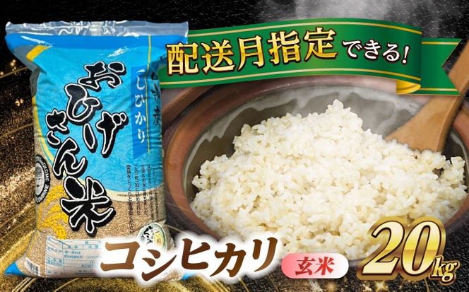 コシヒカリ　玄米　20kg　米　お米　ご飯　愛西市/脇野コンバイン[AECP032]