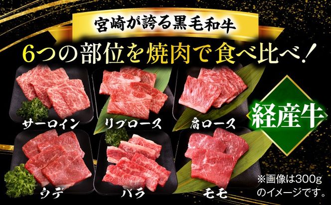 宮崎県産黒毛和牛(経産)6種焼肉セット 300g