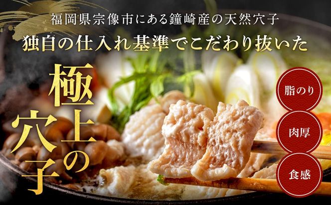 【鐘崎産天然穴子】国産天然穴子鍋セット(4〜6人前) 【魚住商店】_HA1994 海鮮鍋 穴子鍋 鐘崎産 あなご鍋 贅沢鍋セット お取り寄せ 福岡県宗像市 宗像市 福岡 宗像