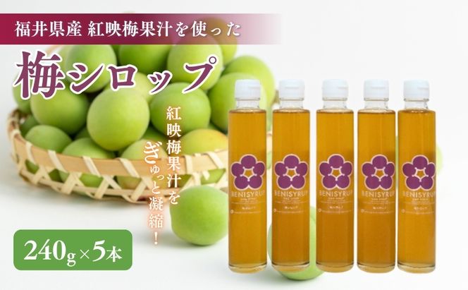 梅シロップ（ベニシロップ）5本 飲料 ドリンク 果実飲料 ジュース 飲料類 