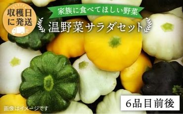 [ 栽培期間中農薬 ・ 化学肥料 不使用 ] 温野菜 サラダ セット ( 6品前後 ) [糸島][オーガニックナガミツファーム] [AGE015] 野菜セット 野菜 やさい サラダ 詰め合わせ トマト とまと 野菜野菜セット 野菜やさい 野菜サラダ 野菜詰め合わせ 野菜トマト 野菜とまと 野菜ベビーリーフ 野菜水菜 野菜ハーブ 野菜オクラ 野菜人参 野菜にんじん 野菜ニンジン 野菜ほうれん草 野菜クレソン 野菜かぼちゃ 野菜カボチャ 野菜じゃがいも 野菜玉ねぎ