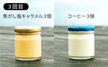 [ 全3回 ] 調味料 おにぎり お菓子 スイーツ ギフト 定期便 詰め合わせ