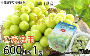 ぶどう 2026年 先行予約 ご家庭用 シャイン マスカット 晴王 約600g×1房 ブドウ 葡萄 岡山県産 国産 フルーツ 果物 岡山のぶどう 旬のフルーツ 旬の果物 大粒 種無し