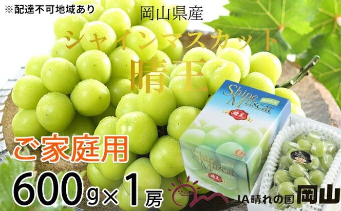 ぶどう 2026年 先行予約 ご家庭用 シャイン マスカット 晴王 約600g×1房 ブドウ 葡萄 岡山県産 国産 フルーツ 果物 岡山のぶどう 旬のフルーツ 旬の果物 大粒 種無し