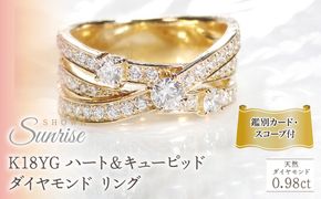 K18YG ハート＆キューピッド ダイヤモンド リング 【0.98ct】鑑別カード・スコープ付 CSR00363-18Y SWAV079