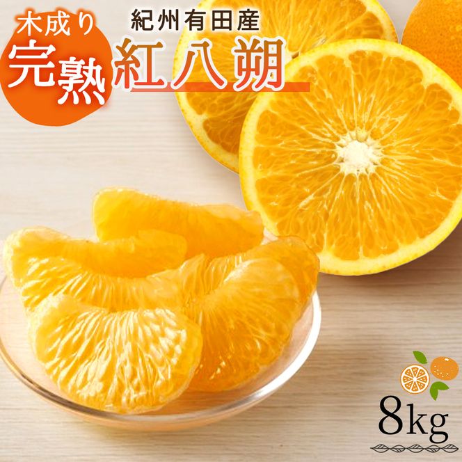 【先行予約】紀州有田産木成り完熟紅八朔８kg ※2027年2月下旬頃〜2027年3月中旬頃に順次発送予定（お届け日指定不可）/ みかん 不知火 和歌山 フルーツ 有田【uot795】