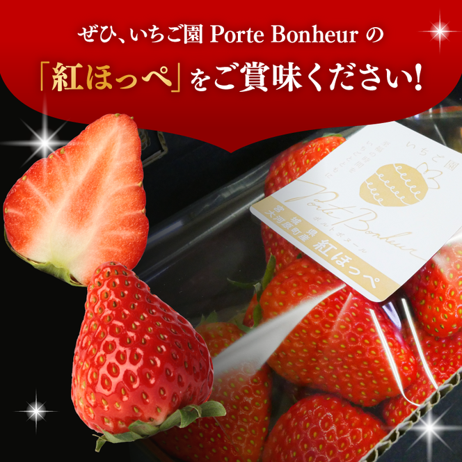 大河原町のいちご 完熟いちご 2パック 果物 フルーツ 苺 紅ほっぺ かおり みずみずしい ジューシー 期間限定 季節限定 いちご 小分け