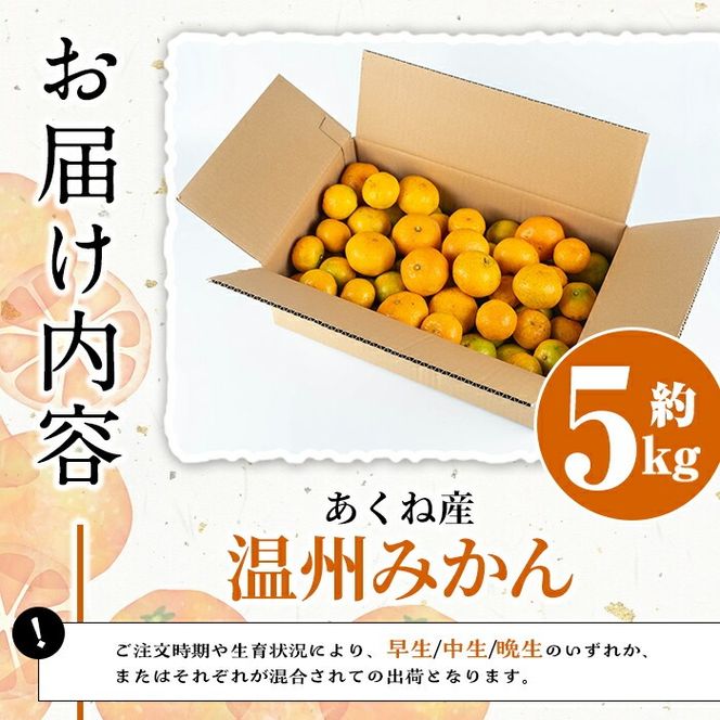 ＜先行予約受付中！2026年11月上旬以降順次発送予定＞数量限定！竹ん子山のみかん(約5kg) 国産 鹿児島県産 阿久根産 ミカン 蜜柑 みかん 柑橘 果物 フルーツ 温州みかん 果実 期間限定 【竹ん子山】akn097-03