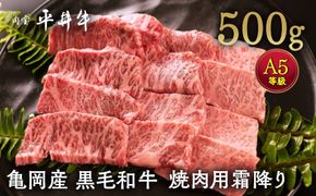 数々の誉れに輝く最高峰 黒毛和牛「平井牛」A5 焼肉用 霜降り 500g 京都 丹波牧場 自家産≪三角バラ・トモバラ・カルビ・カイノミ・ミスジ 希少 和牛 京都肉 冷凍 真空 BBQ キャンプ≫