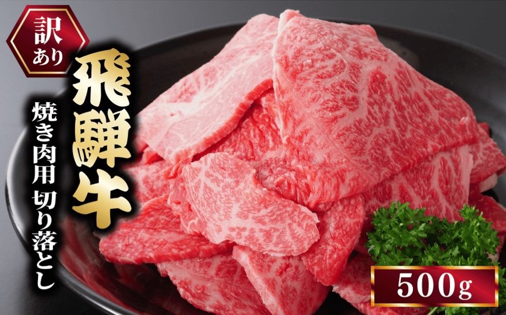訳あり 飛騨牛 焼き肉用 切り落とし 500g|牛 牛肉 焼肉 BBQ バーベキュー 切り落とし