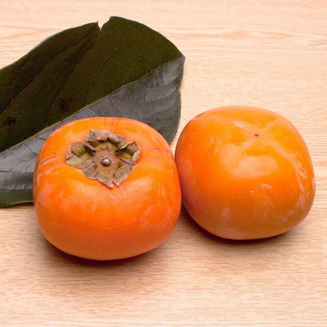 ＜10月より発送＞厳選たねなし柿5kg【刀根早生・平核無柿（ひらたねなしかき）】｜カキ・種無柿・種無し柿・種なし柿・無核柿