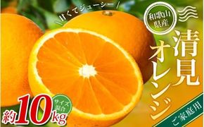 【ご家庭用】手選別 清見オレンジ 約10kg 和歌山県産 2S~2Lサイズ混合※2026年2月上旬～5月中旬頃に順次発送【mrmt039A】