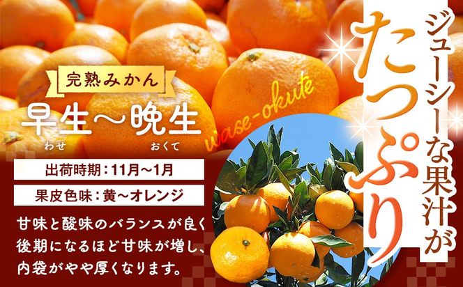 みかん 山から直送 箱込 10kg ( 内容量約 9.2kg ) 鮮度優先ごろごろ規格 和歌山県産 産地直送 家庭用［2025年11月中旬より2026年1月中旬頃順次出荷予定］［みかんの会］ 	AX217