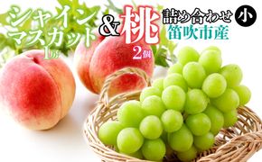 ＜26年発送＞シャインマスカット（1房）と桃（2個）の詰め合わせ（小） 126-023-26y