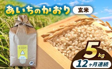 【12回定期便】あいちのかおり　玄米　5kg　お米　ご飯　愛西市／株式会社戸倉トラクター[AECS015]