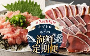 【 全2回定期便 】ネギトロ と カツオ の 定期便 海鮮 鮪 鰹 定期 セット まぐろ カツオのたたき ネギトロ 中トロ 刺身 海鮮 鰹 冷凍 魚 海産物 魚介類 高知県 まぐろたたき 鮪 藁焼き わら焼き タカシン定期便 海鮮定期便 頒布会