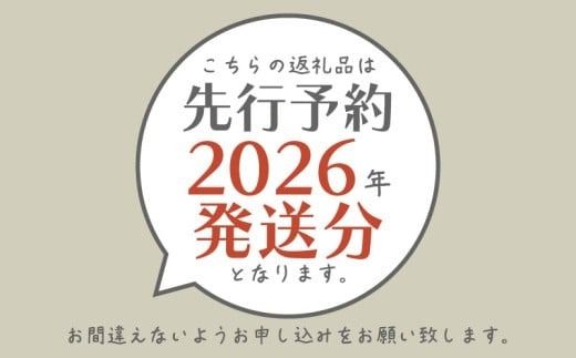 【2026年先行予約】シャインマスカット　約1.3kg（粒）FB022 ｜シャインマスカット ぶどう 　葡萄　ブドウ　山梨県　都留市 くだもの　果物 フルーツ 大人気 送料無料 粒のまま