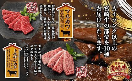 宮崎牛食べ比べ10種盛り焼肉セット_17-3102