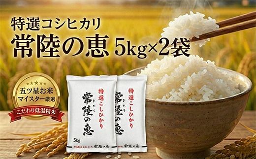 167-63-002　【令和７年産】特選こしひかり　「常陸の恵」１０kg 【 お米 五ツ星 お米マイスター HACCP 取得 低温精米 高品質 ご飯 美味しい米 ブランド米 特産物 あさや米穀 茨城県 日立市 】