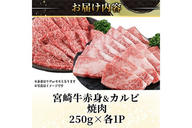 宮崎牛 赤身＆カルビカット 焼肉 (合計500g・250g×2) 焼肉 お肉 牛肉 黒毛和牛 宮崎牛 ブランド和牛 冷凍 国産 カルビ 赤身 宮崎県産 【YM-41】【YAMATO株式会社】