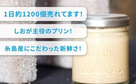 しおが主役 しおをかけてたべる プリン 花塩 プレーン 6個 セット 糸島市 / またいちの塩 [AEB001] ランキング 上位 人気 おすすめ