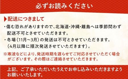 ココヤシ 観葉植物 《糸島》【はざま園芸】[AND004]