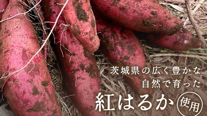 冷凍焼き芋 約2㎏ 【 茨城県産 紅はるか 】 冷凍 焼き芋 さつまいも デザート おやつ おいもスイーツ [DL22-NT]