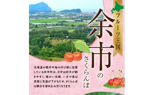 2026年発送【先行予約】令和8年産 紅秀峰【Lサイズ】500g×2【ニトリ観光果樹園】余市 北海道 フルーツ王国 さくらんぼ サクランボ 桜桃 紅秀峰 余市産さくらんぼ 人気さくらんぼ ニトリ_Y074-0139