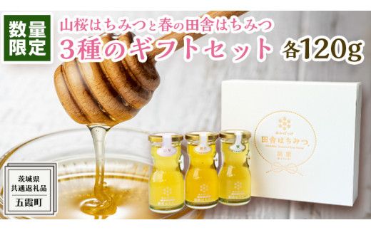 【 数量限定 】山桜 はちみつ と春の 田舎はちみつ の 3種 ギフト セット [ 結蜜 Musubi-R3山桜 120g ]（ 茨城県共通返礼品： 五霞町 ） 生ハチミツ 蜂蜜 非加熱 茨城県産 国産 天然 純粋 贈答用 [EG001us]