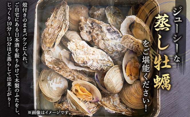 元祖 厚岸バケツ牡蠣セット12個 北海道 牡蠣 カキ かき 魚介類 シーフード マルえもん
