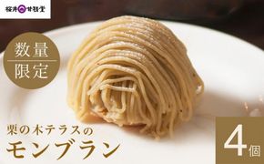 栗の木テラスのモンブラン 4個入 ［桜井甘精堂］スイーツ 菓子 栗 信州 長野県 冷凍 ご当地スイーツ 数量限定人気 期間限定 お取り寄せ ケーキ 先行予約 小布施  【2026年1月16日～4月末日発送】