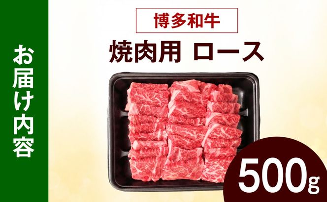 博多和牛 牛肉 焼肉 ロース 500g《築上町》【肉のくまもと屋】[ABEZ074]