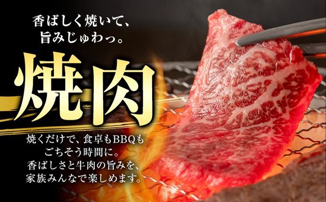 黒毛和牛 霜降り 肩ロース 焼肉  500g 1kg 2kg 4kg《30営業日以内に出荷予定(土日祝除く)》熊本県 氷川町 牛 牛肉 和牛 ブランド牛---hkw_26_lcl_418_500g---